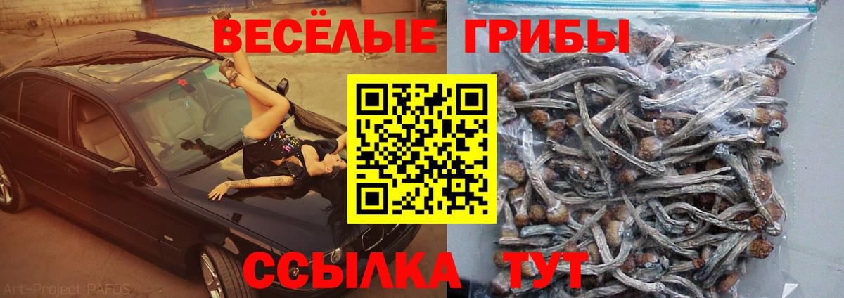 Псилоцибиновые грибы MAGIC MUSHROOMS Дзержинск